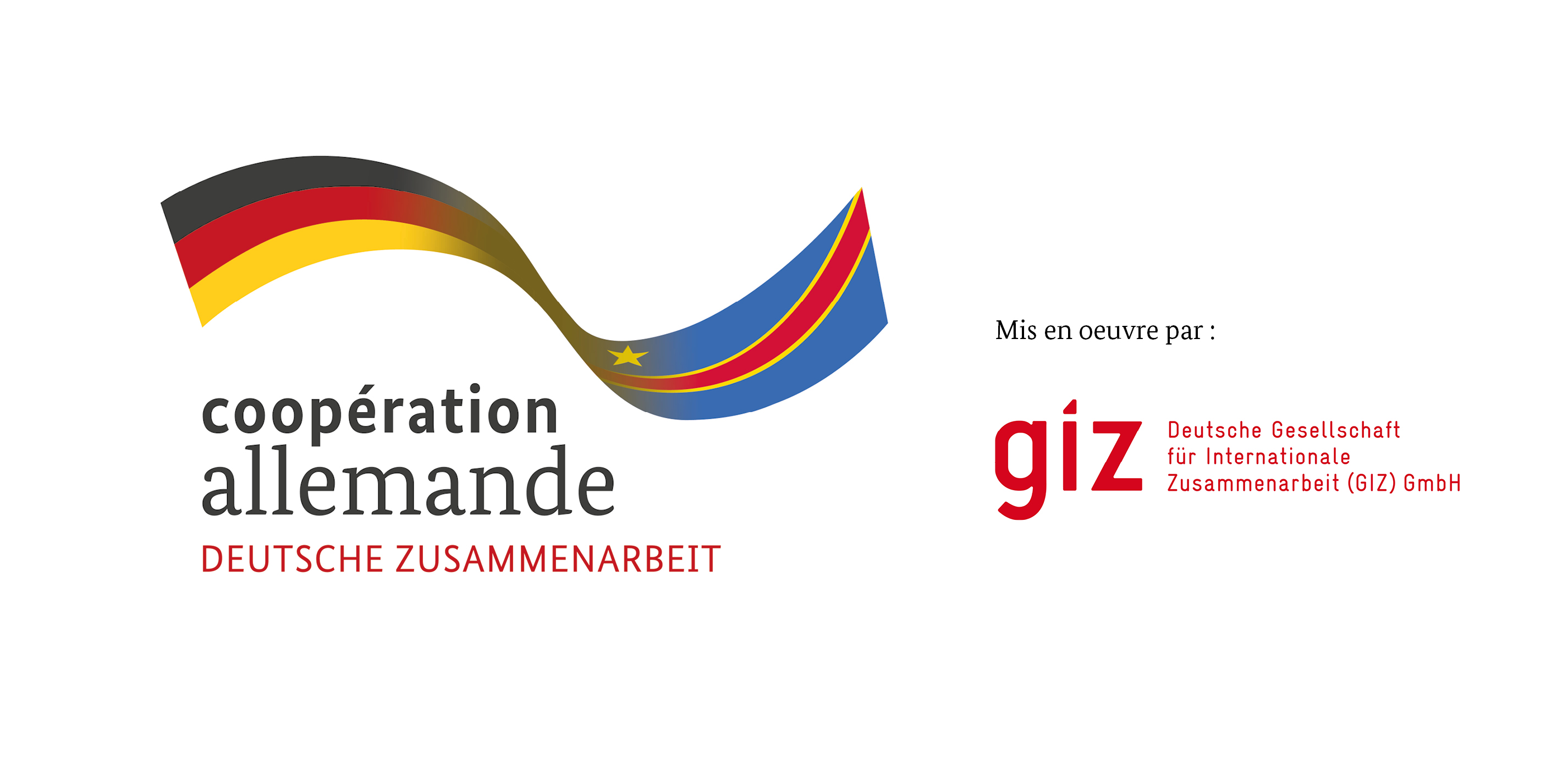 GIZ