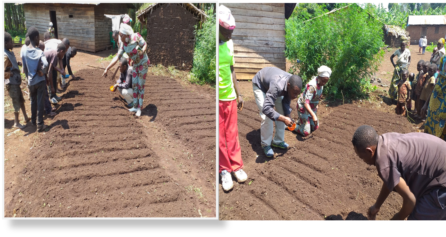 Germination des  semences maraichère  à Caoboka