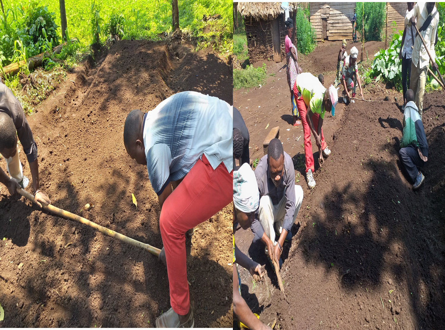 Accompagnement des communautés autochtones riveraines du PNKB dans la mise en place des Jardins maraichers  